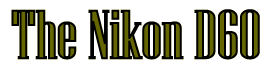 Nikon D60
