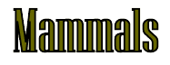 Mammals